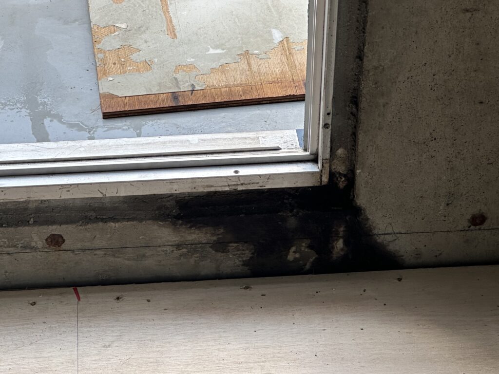 品川区西中延　漏水　窓