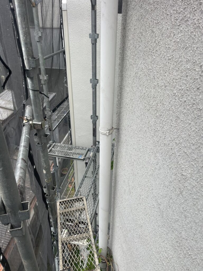 ツタ撤去後