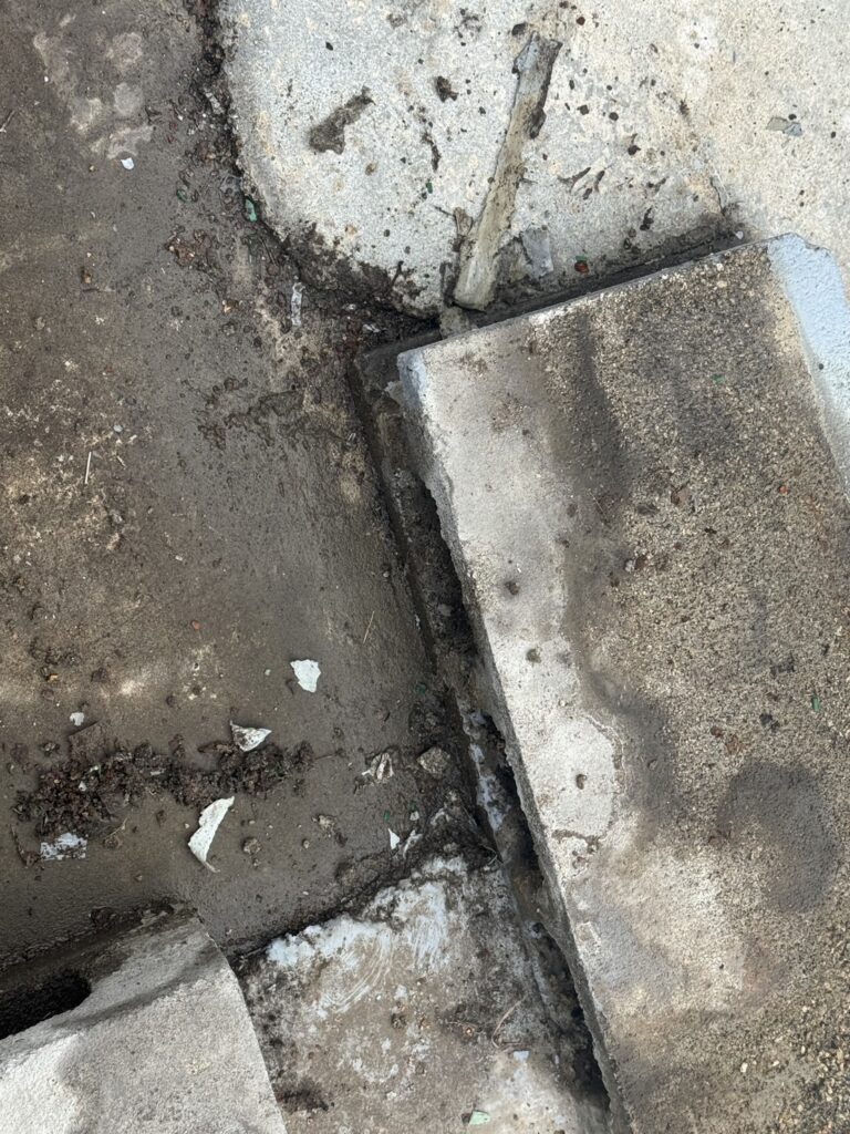 下地の状態