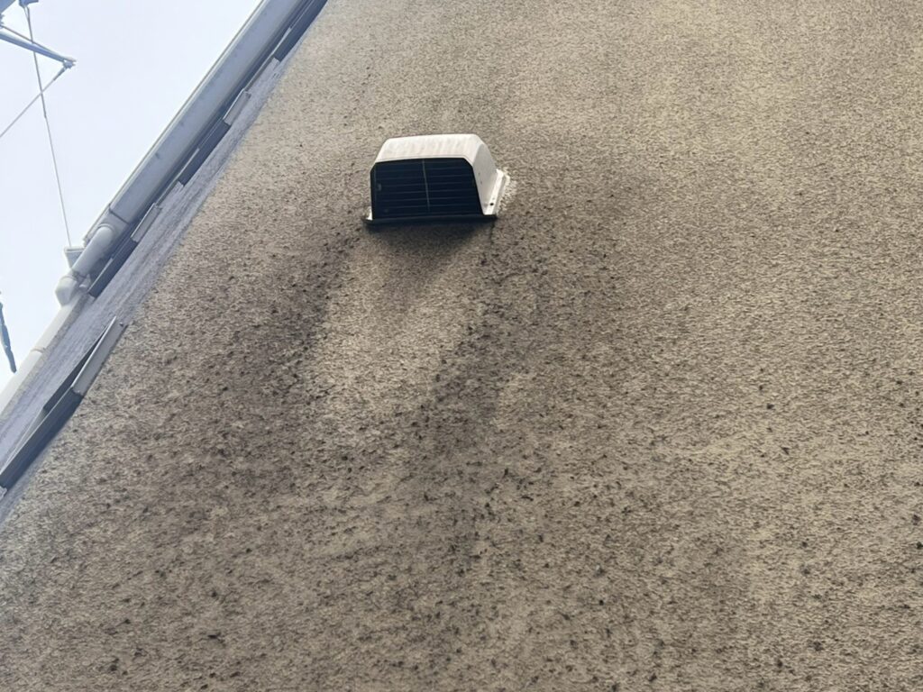 コケのついた外壁