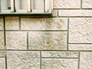 外壁のコケカビ