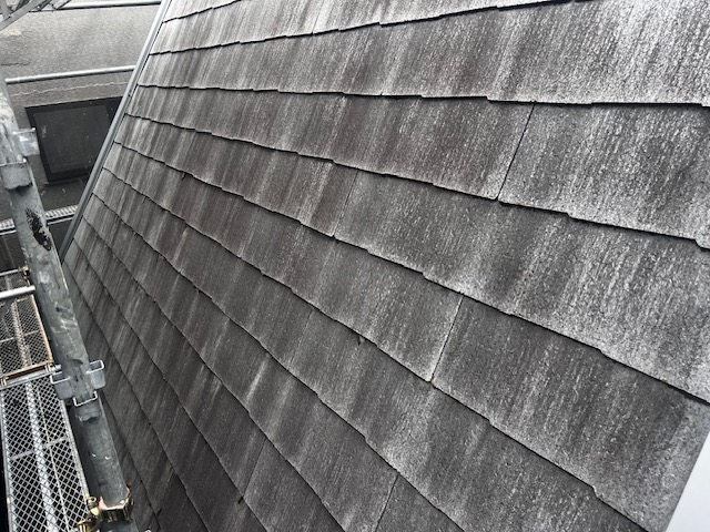 現地調査の様子