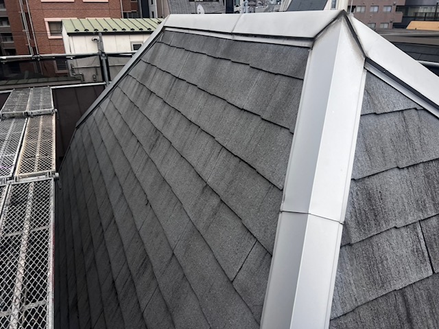 現地調査の様子