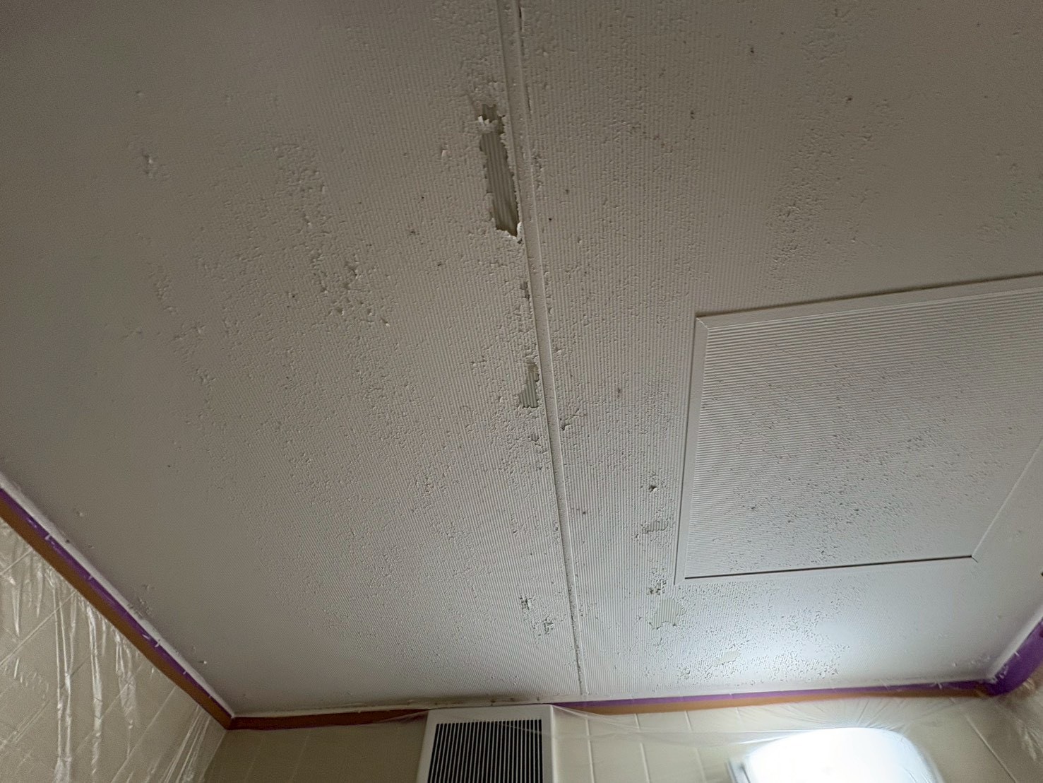 大田区仲六郷で浴室天井のメンテナンス塗装をしました