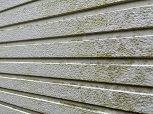 窯業系サイディング